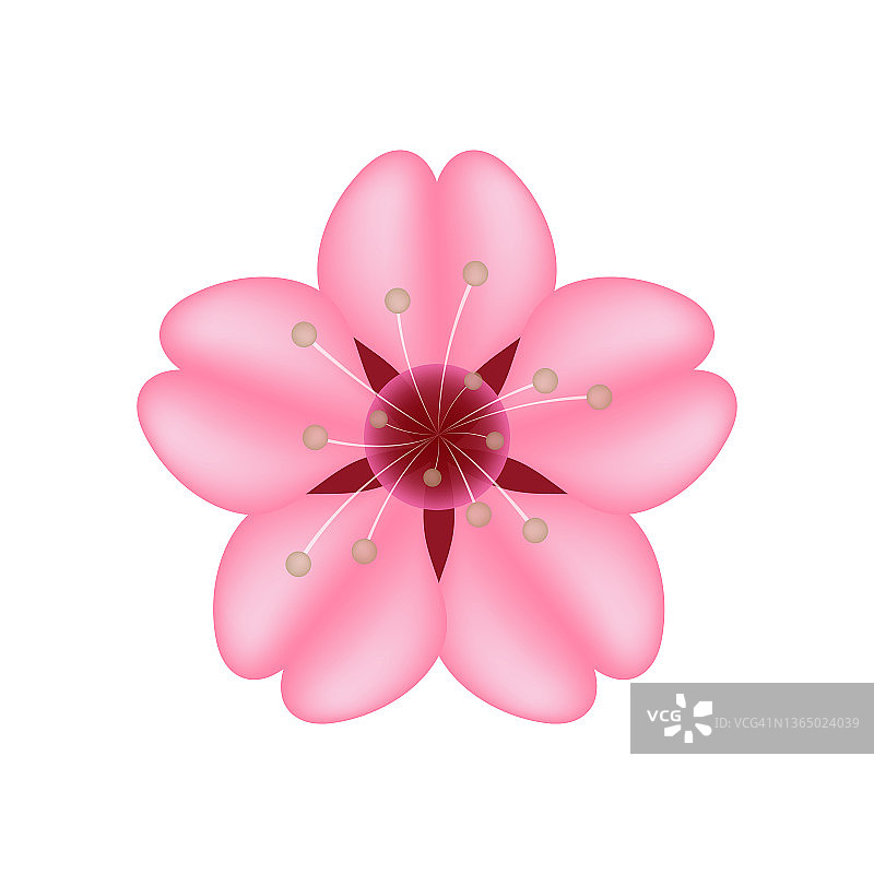 樱花樱花矢量表情符号插图图片素材