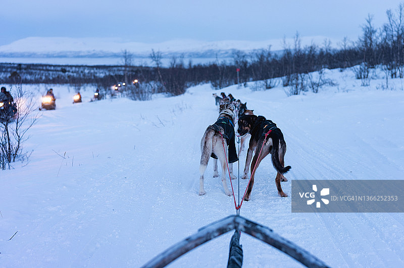 狗拉雪橇和雪地摩托在北极的冬天。瑞典的拉普兰图片素材