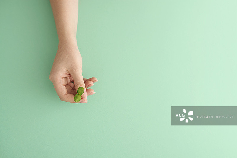 女性手握微绿芽在绿色背景上图片素材