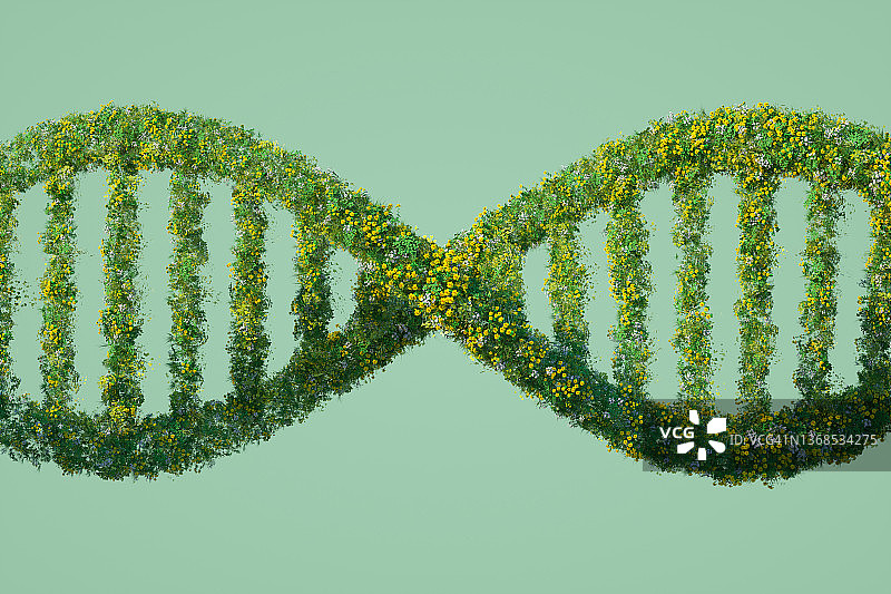 绿色DNA图片素材