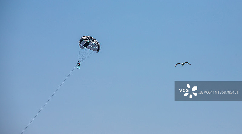 帆伞运动是一种很受欢迎的海上户外活动。降落伞和游客们在海上的天空中翱翔图片素材