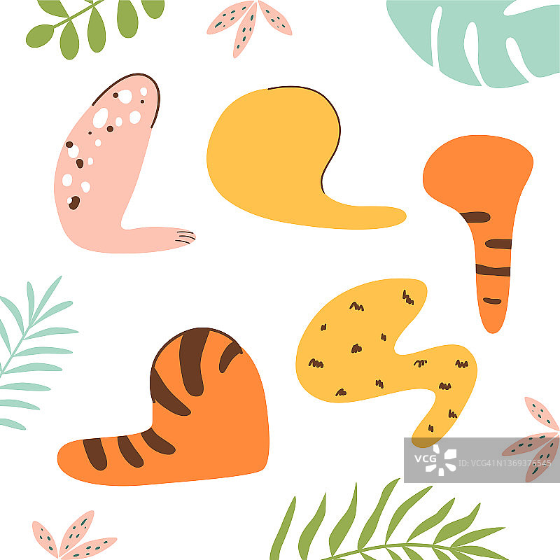 野猫爪套。野生动物卡通彩色猫爪。收藏各种可爱的野生动物脚卡通。向量illustation图片素材