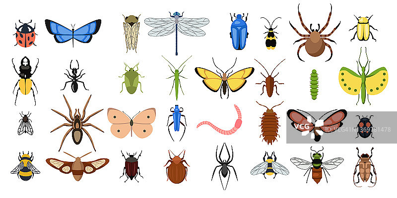 在白色背景上设置不同的昆虫。矢量收集蝴蝶，蜘蛛，蠕虫，苍蝇，甲虫和其他甲虫卡通风格。图片素材