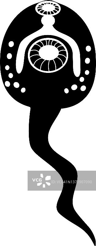 白色背景上分离的羊肝吸片吸虫尾蚴黑色剪影图片素材