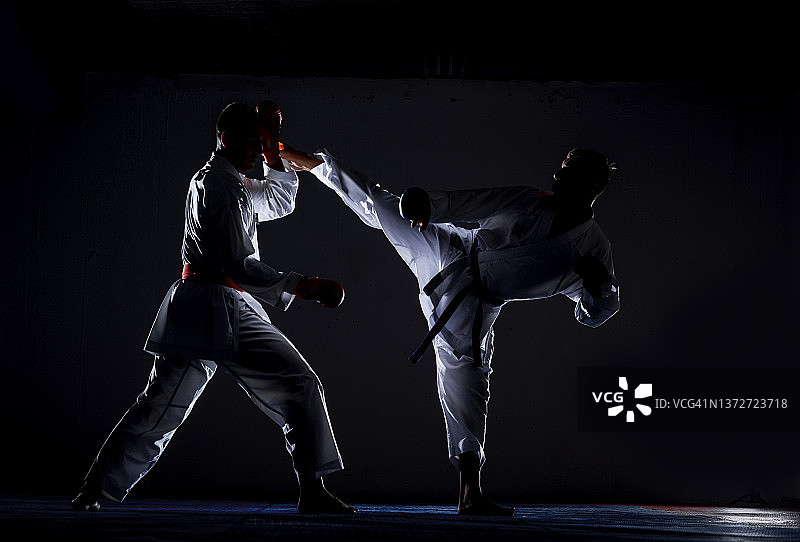 一位跆拳道武术大师的形象图片素材
