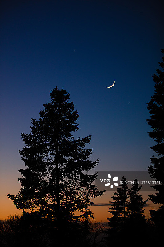 新月与星星，行星和树木的剪影在傍晚的天空。图片素材