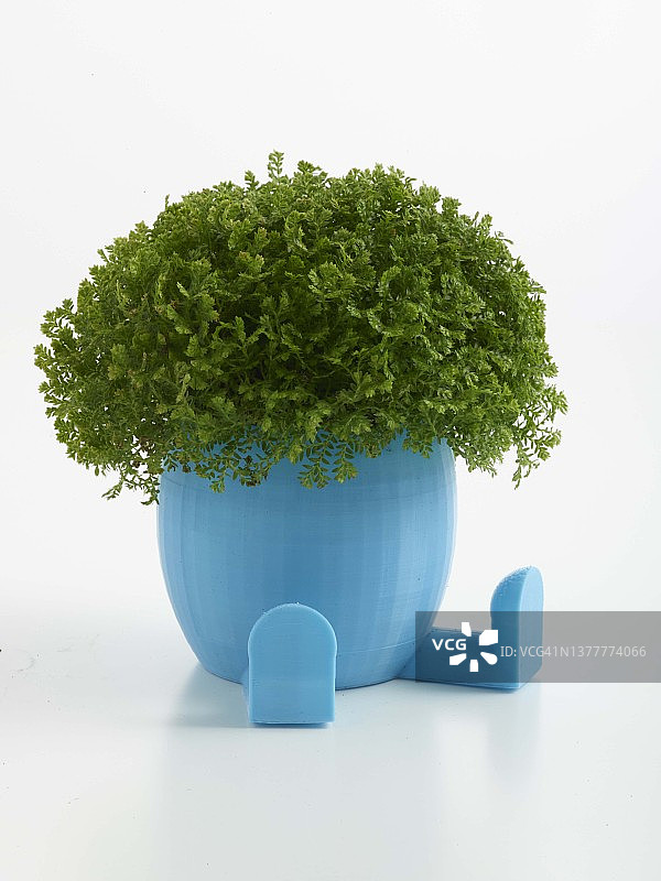 3D打印花盆与植物图片素材
