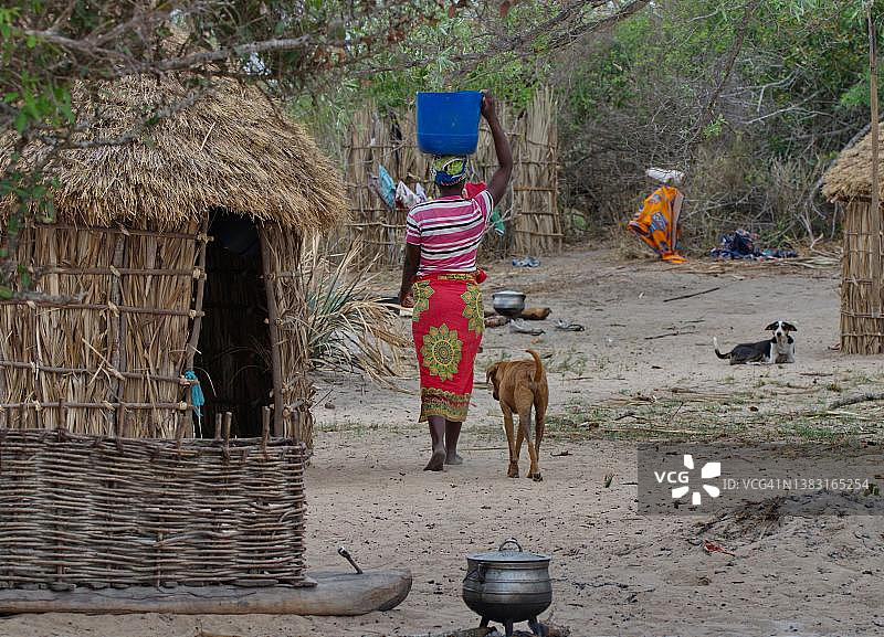 莫桑比克加沙省，一名妇女在一条狗的陪伴下，从附近的河流中取水到她的小屋图片素材