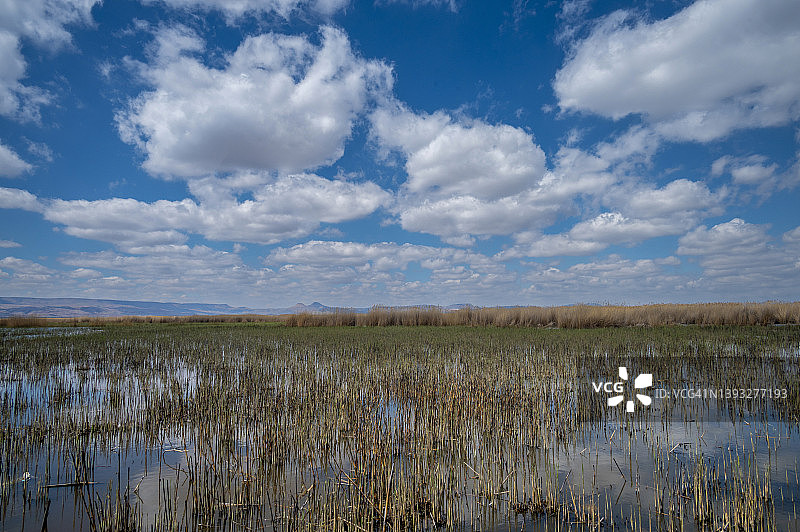 苏丹Sazligi wetlands, kay系列图片素材