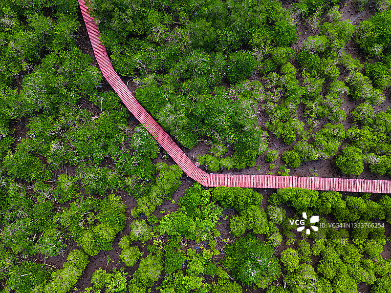 鸟瞰图和俯瞰木桥，红树林走道在Koh Chang,Trat，泰国。图片素材