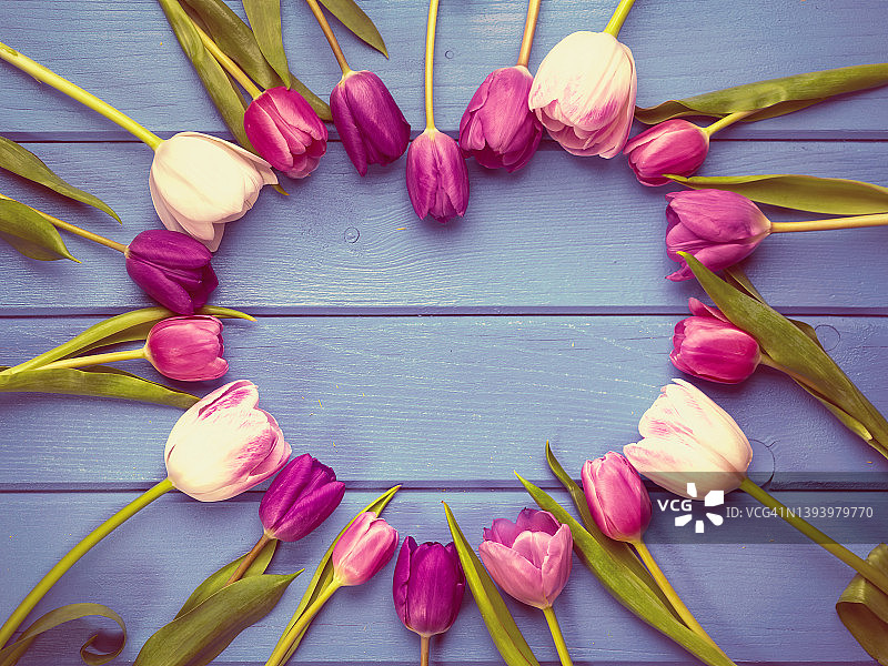 Vintage holiday spring背景。心形框架的彩色郁金香花安排在蓝色木制背景。情人节，妇女节和母亲节的贺卡拷贝空间。前视图。图片素材