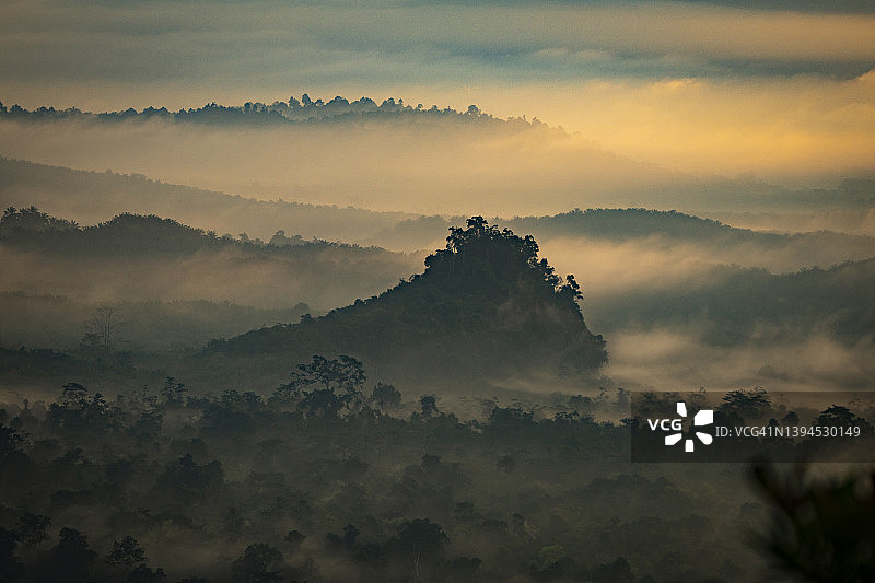 热带丛林的晨雾图片素材