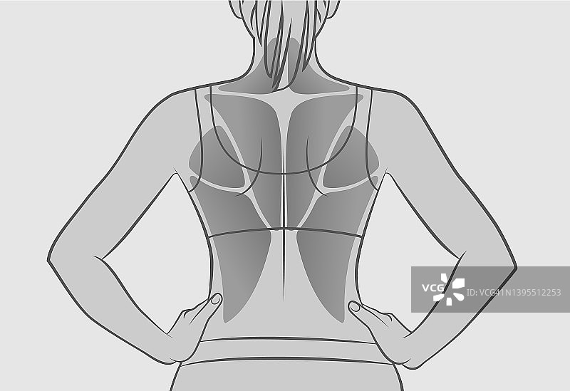 锻炼背部肌肉。背部的肌肉。一个女人的剪影。运动，锻炼，健身，健美。灰色的版本。图片素材