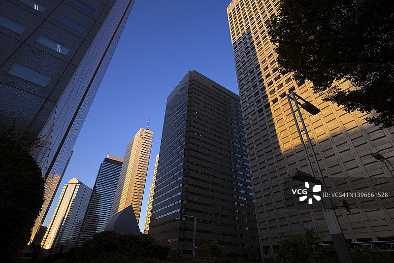 在日本东京，办公楼捕捉早晨的阳光图片素材