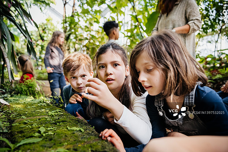三个孩子在植物园仔细观察苔藓图片素材