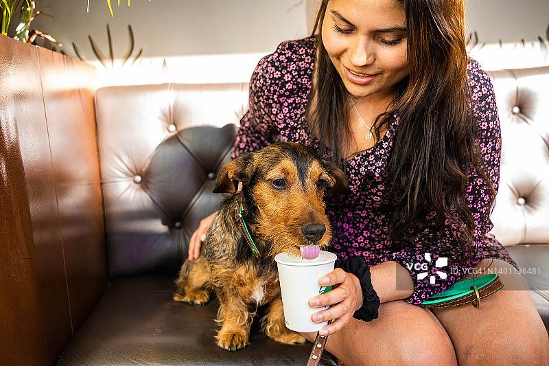 可爱的年轻腊肠狗在著名的咖啡馆喝puppuccino。图片素材