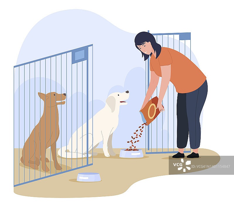 妇女动物收容所喂养无家可归饥饿的狗在鸟舍矢量平面插图图片素材