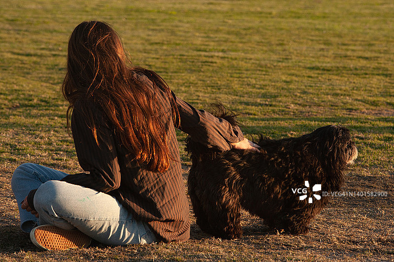 在公园的绿色草坪上，一名年轻女子转过身来，向人们展示她长长的深棕色头发，她正在抚摸一只中等大小的长毛狗图片素材