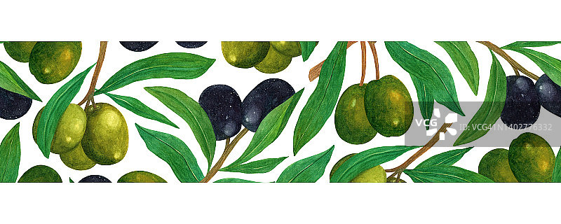 橄榄枝无缝水彩边界。成熟的绿色和黑色的果实，在地中海的树枝上有叶子。植物素描，天然健康食品。手绘插图图片素材