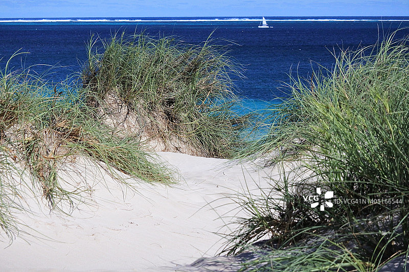 沙丘植被景观与白色帆船在海洋中航行图片素材