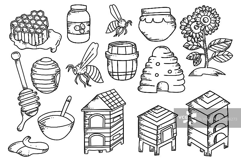 黄蜂和蜂蜜的插图图片素材