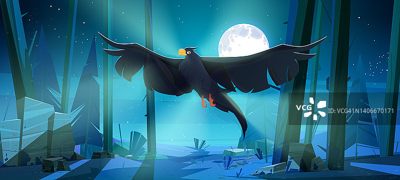 夜晚在针叶林中飞翔的黑乌鸦图片素材