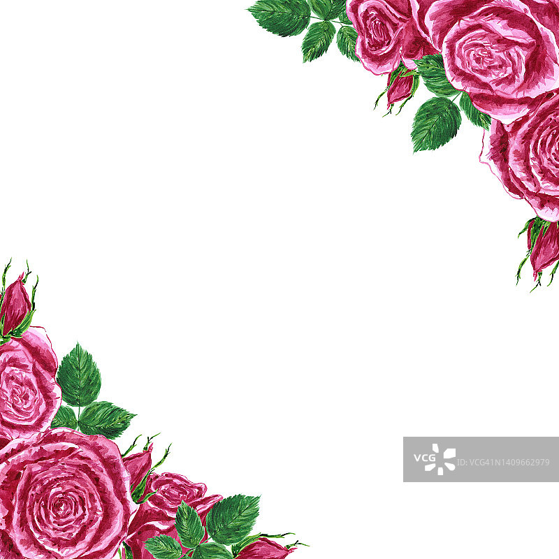 手绘水彩玫瑰框架boarder在白色背景。剪贴簿设计元素。印刷海报，婚礼邀请，明信片，标签，横幅设计。图片素材