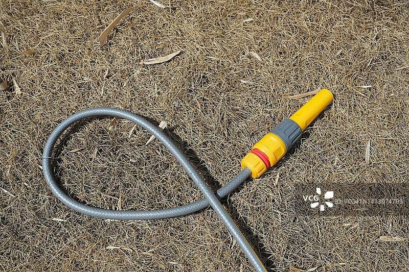 软管用于浇灌干燥的棕色草坪。说明了热浪，干旱和气候变化图片素材