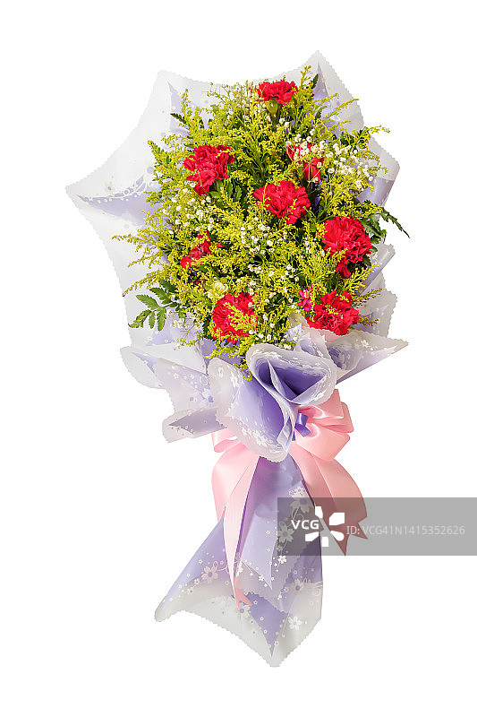 红色康乃馨的花束，在白色背景上分离图片素材