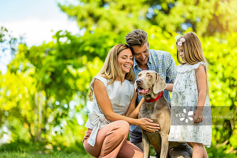 幸福的一家人和他们的狗狗在后院享受夏日。图片素材
