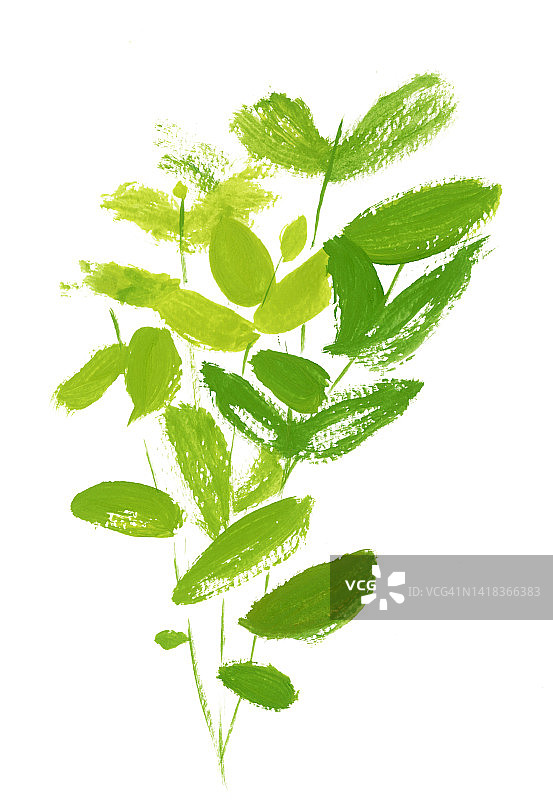 绿色植物插图图片素材