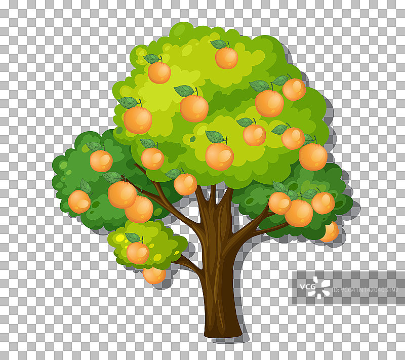 橙色树在透明的背景图片素材