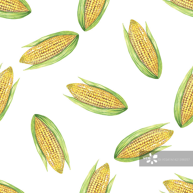 水彩玉米无缝图案在白色背景图片素材
