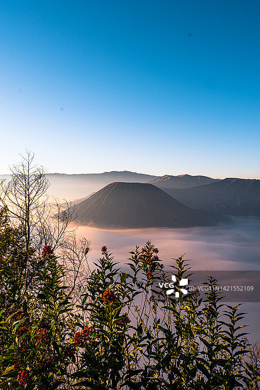 印度尼西亚东爪哇Bromo- tengger - semeru国家公园，透过晨雾的Bromo山图片素材