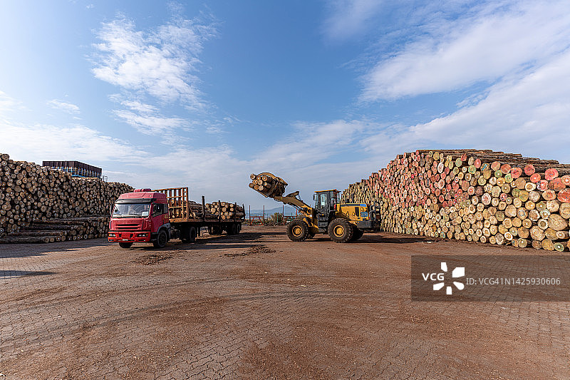 在工厂木材堆垛区工作的卡车和叉车图片素材
