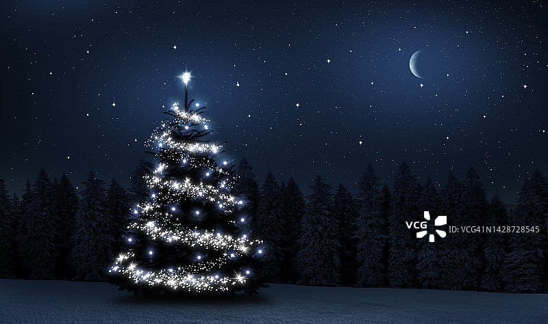 冬天夜晚森林里的一棵彩灯圣诞树图片素材