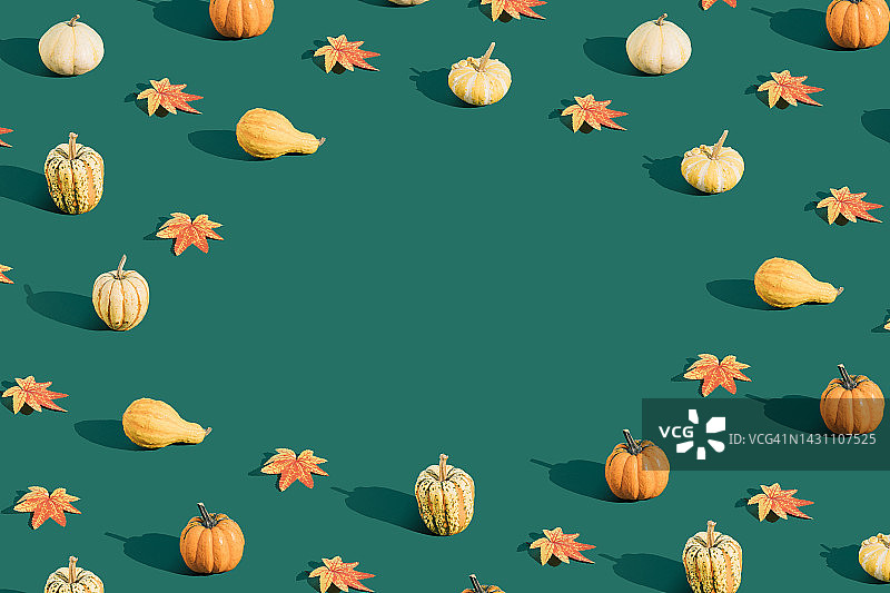 创意万圣节背景与彩色的天然南瓜和秋天的树叶在绿色的背景。副本的空间。图片素材