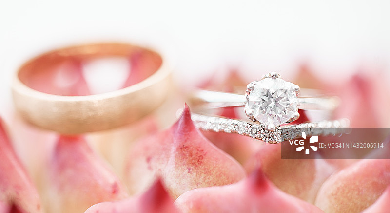 婚礼上，黄金和钻石戒指在花瓣或叶子的特写。大自然，名牌珠宝和婚姻，镶有钻石的银戒指和粉色红花上的金戒指，代表爱和承诺。图片素材