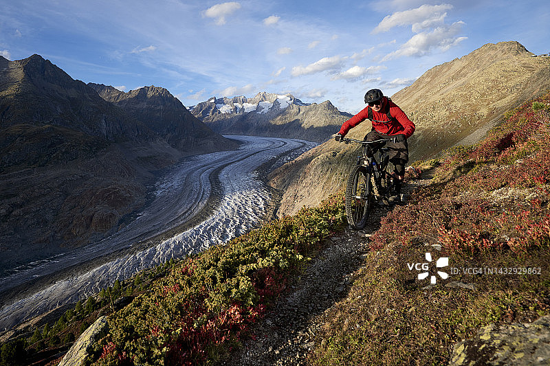 山地自行车骑手骑在阿莱奇冰川上的狭窄小径上图片素材