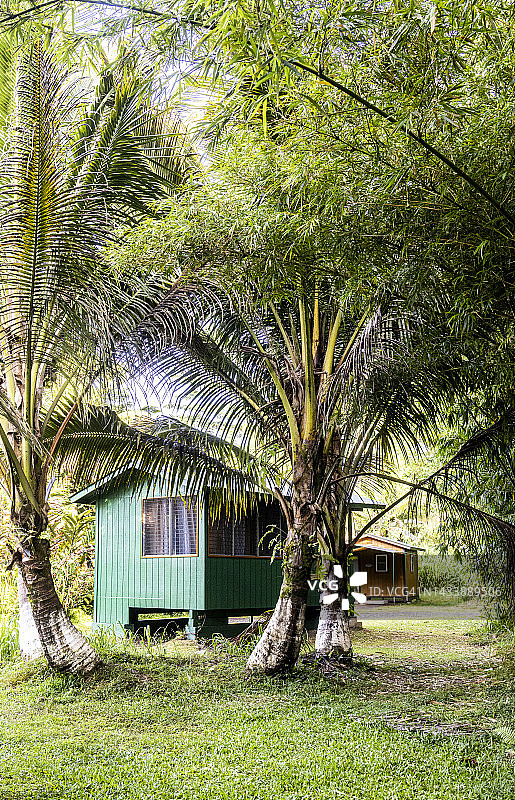 夏威夷大岛丛林中出租的绿色小屋图片素材
