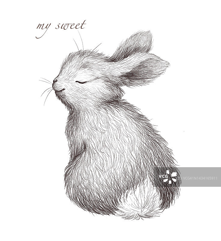 可爱的手绘可爱的兔子肖像孤立。艺术水彩插图为bday卡片，婴儿淋浴，打印。图片素材