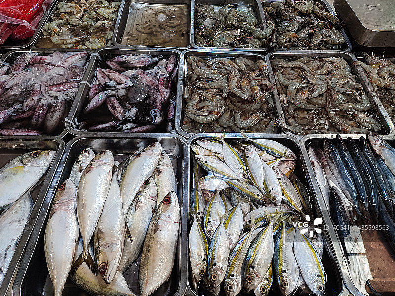 传统市场上出售的各种新鲜鱼、鱿鱼和对虾图片素材