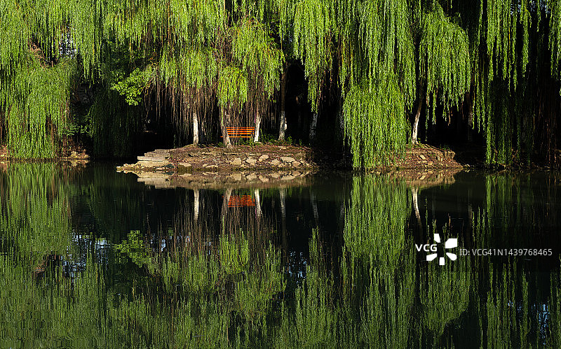 清晨，晴空万里，清澈的湖面上倒映着茂密的森林图片素材