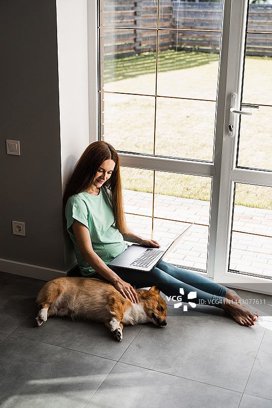 怀孕的程序员女人在网上工作，休息一下，拥抱她的狗。和威尔士柯基彭布罗克玩得很开心。怀孕的女孩带着笔记本电脑微笑，在家里和柯基狗玩耍。图片素材
