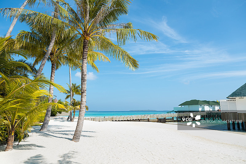 马尔代夫岛海滩与棕榈树和木材码头在阳光明媚的热带风景图片素材