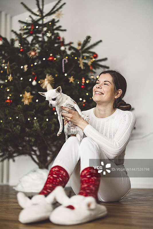 一名身穿白色衣服的女子抱着她的小狗，手里抱着她的小吉娃娃，坐在圣诞树下图片素材