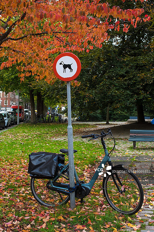 自行车停在公园里图片素材