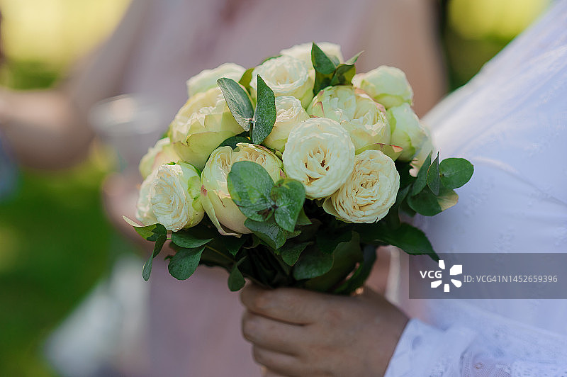 新娘手中捧着一束花。一个女人手里捧着一束白花图片素材