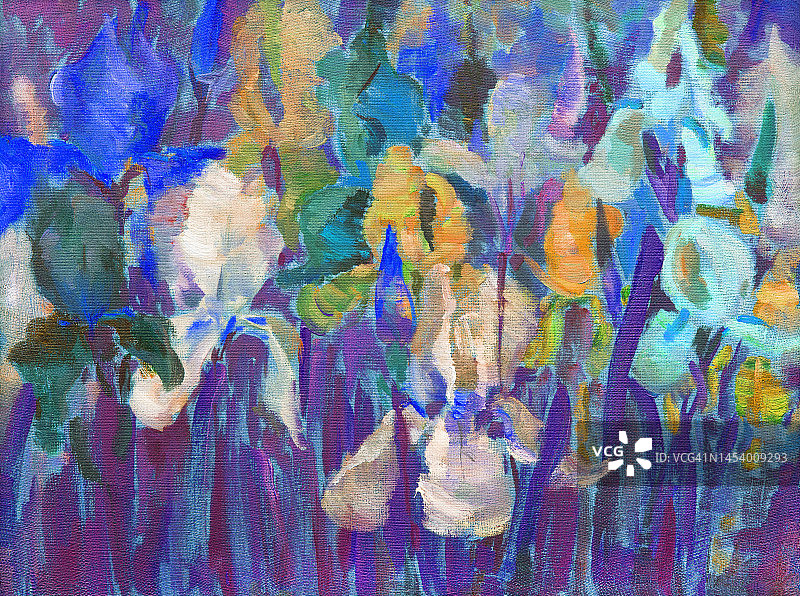插图油画风景花鸢尾花盛开在花坛上图片素材