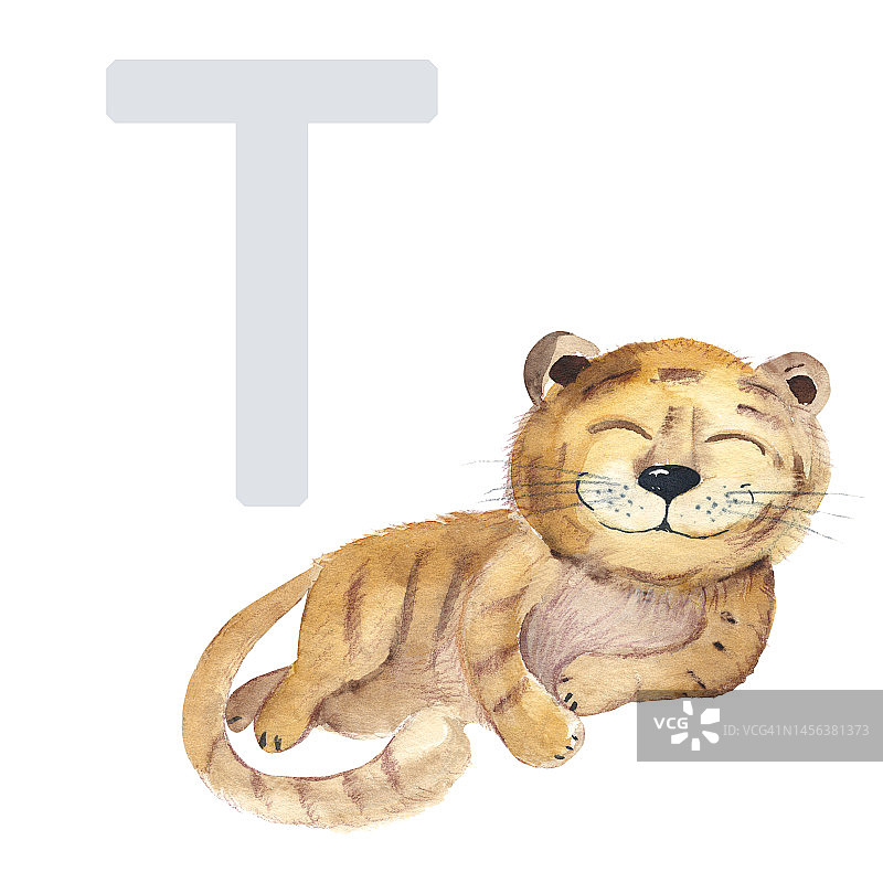 字母T，老虎，可爱的孩子动物ABC字母表。水彩插图孤立的白色背景。可用于字母或卡片的孩子学习英语词汇和书写。图片素材